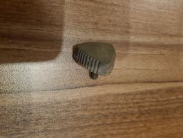 Alte Seitenschutzschraube  spezielle Ausführung