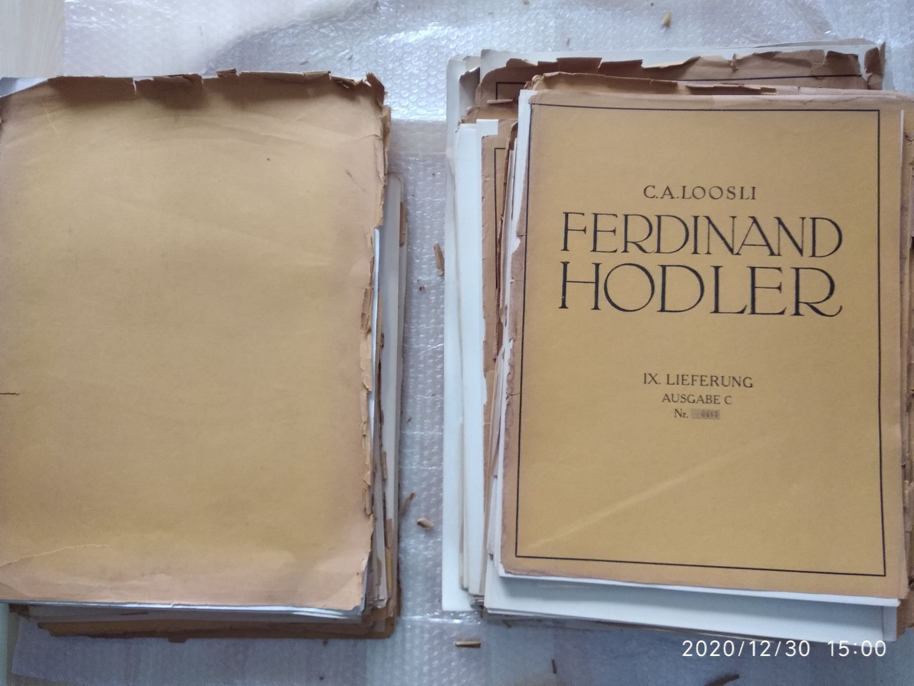 Libri: FERDINAND HODLER - WERKVERZEICHNIS – Usato da Goldach venduto da Gaip 5