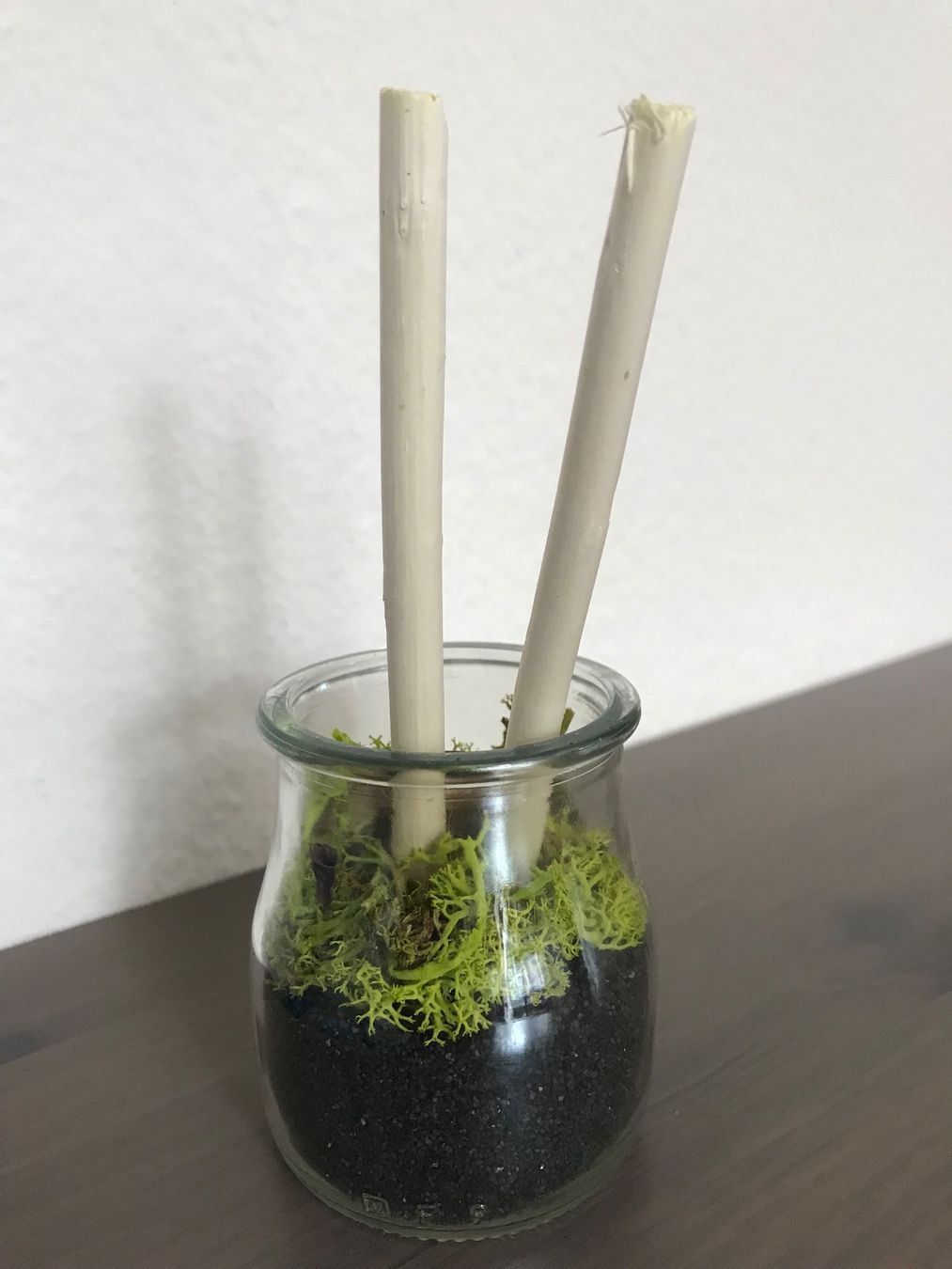 Alle Dekorationen: dekoratives Sturzglas - Motiv: Wald – Neu und originalverpackt aus Lausanne von opi_92cn 1