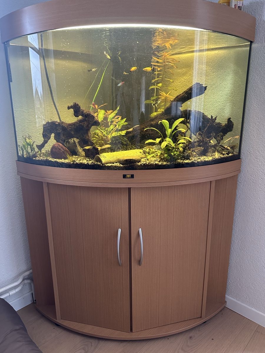 Juwel Acquari: Juwel Eckaquarium – Usato da Zollbrück venduto da latiffa01