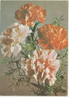 Blumenkarte