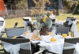 Yellow Napkins - Sweet Sunshine - 30 pieces