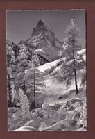 Neuchnee bei ZERMATT - Matterhorn - 1961
