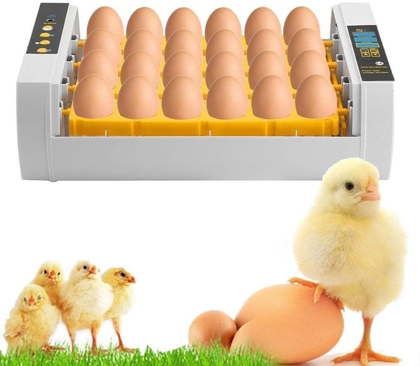 Brutmaschine Vollautomatisch Inkubator 24 Eier Hühner Brutapparat Eier Brutgerät Eier Brutkasten mit Temperaturregulierung für Eier GeflüGel Enten Hühner (24 Eier Brutmaschine Vollautomatisch Inkubator 24 Eier Hühner Brutapparat Eier Brutgerät Eier Brutkasten mit Temperaturregulierung für Eier GeflüGel Enten Hühner (24 Eier