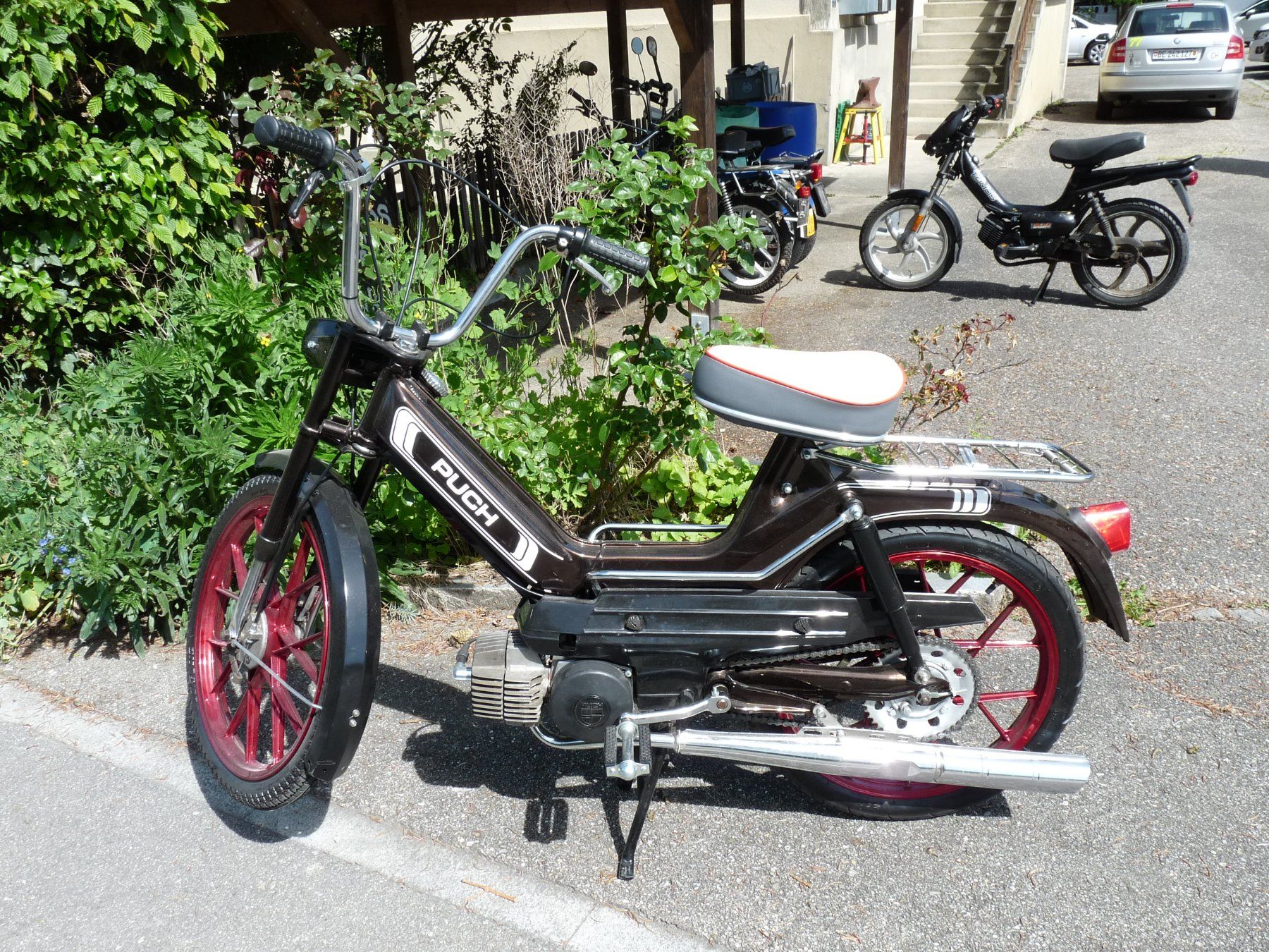 Puch Cyclomoteurs: Puch Maxi S top – Neuf (Voir description) à huttwil par Pakora 1