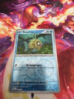 Barschwa (SSP 041) / Reverse Holo / Stürmische Funken