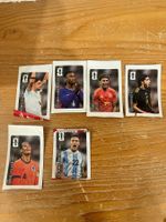 Panini Cola Sticker 6x