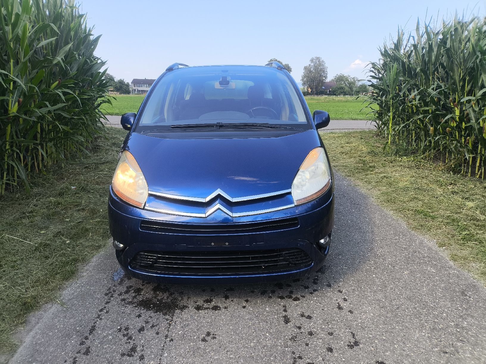 Citroën Automobili: Citröen C4 Picasso 2.0L Diesel – Usato da Balgach venduto da skl_5lyw