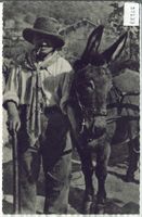 Das Original von Lugano - Emil Reutlinger