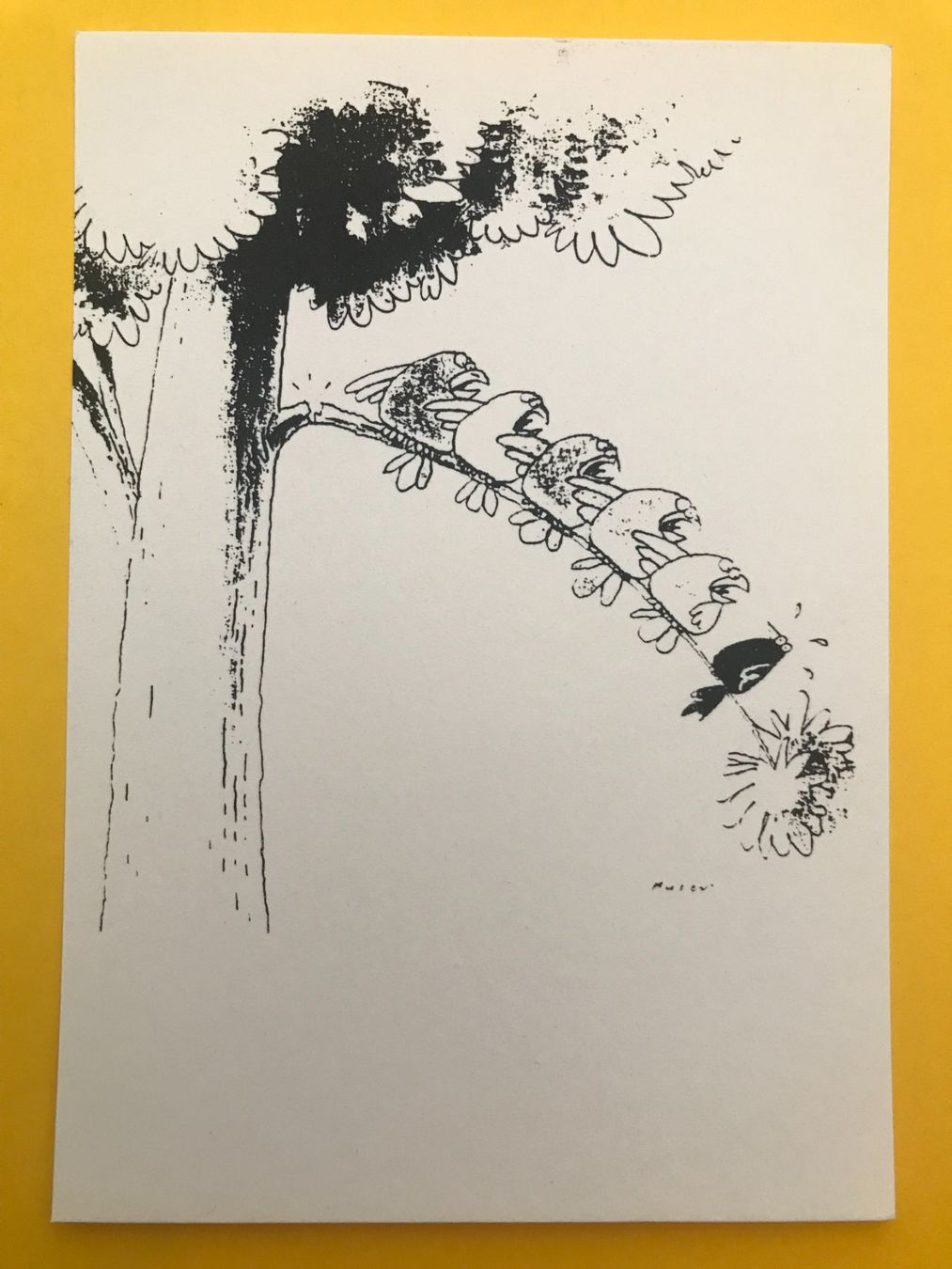Cartoline postali: Postkarte Schwarzer Humor Vögel – Usato da Luzern venduto da mey_s13