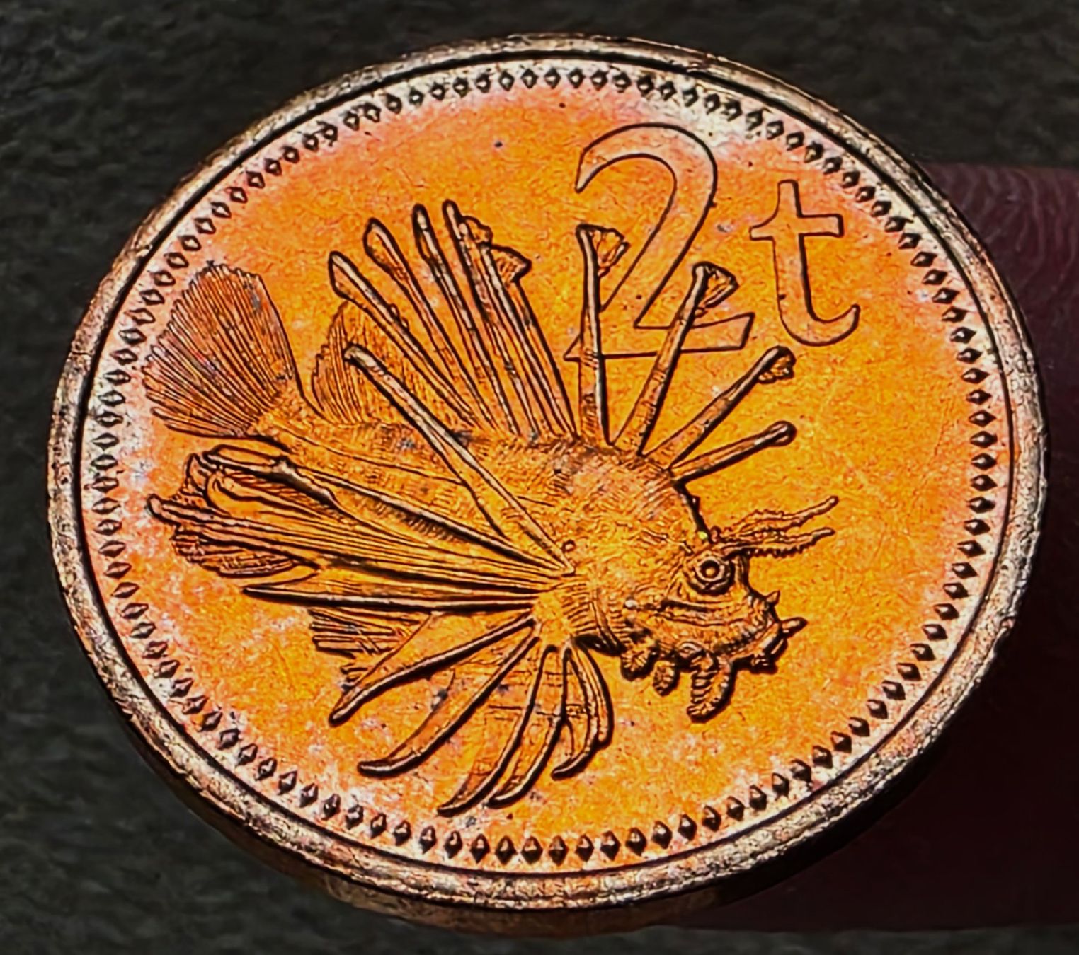 Tutti le monete: PAPUA-NEUGUINEA 2 TOEA 1987 UNZ. – Nuovo (secondo la descrizione) da winterthur venduto da CoinPassion