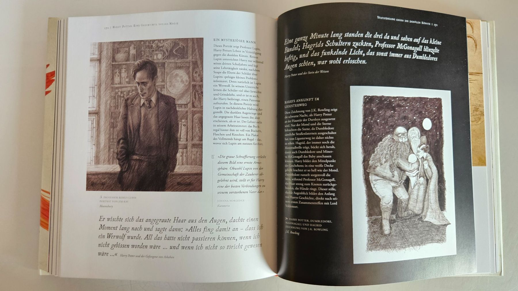 Libri: Harry Potter: Eine Geschichte voller Magie – Usato da Basel venduto da True_Hofer_Store 4