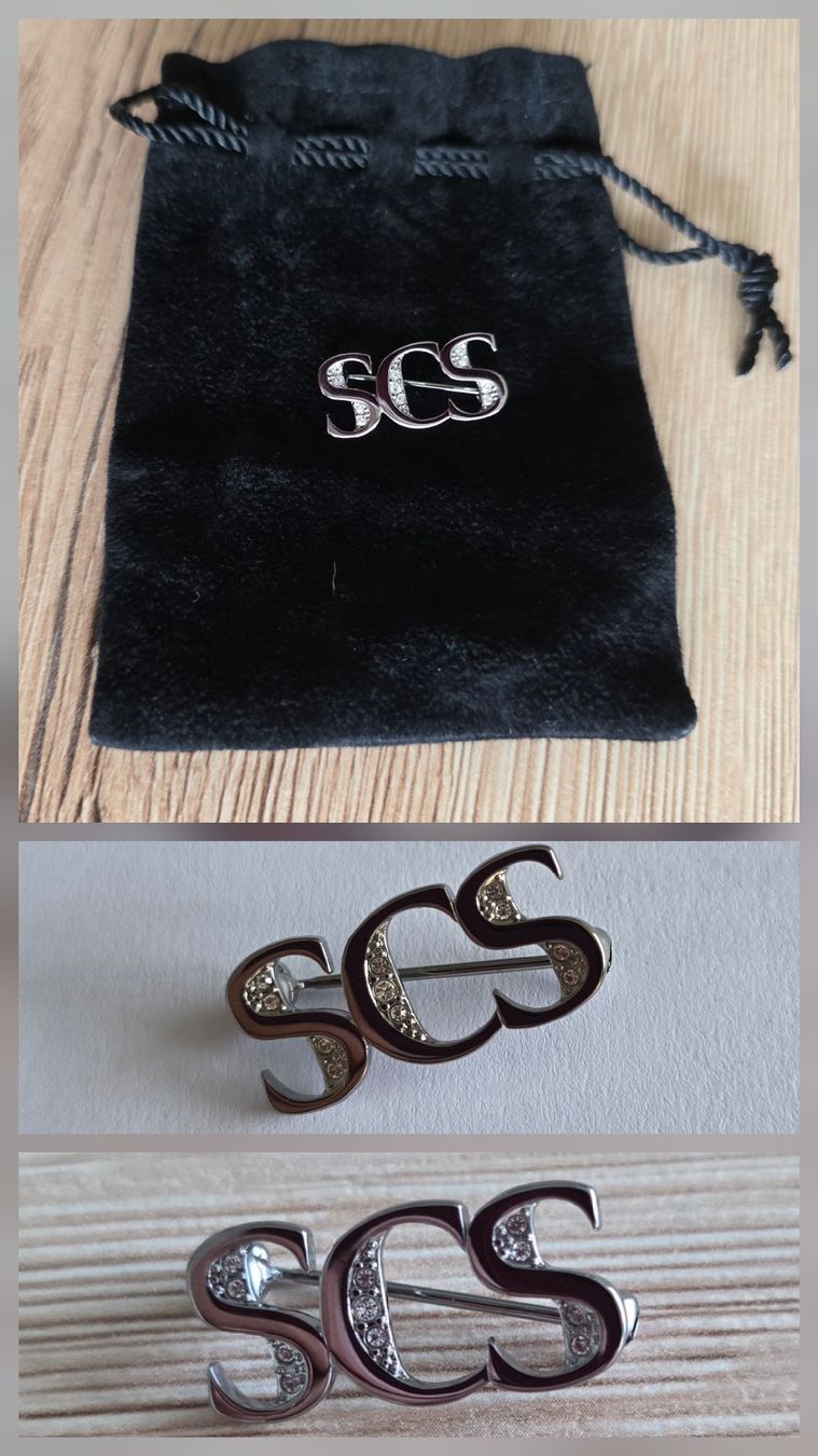 Swarovski Spille & Fermagli: swarovski Anstecknadel SCS mit neu mit Beutel – Nuovo e nell'imballaggio originale da Niederhasli venduto da 8155irae