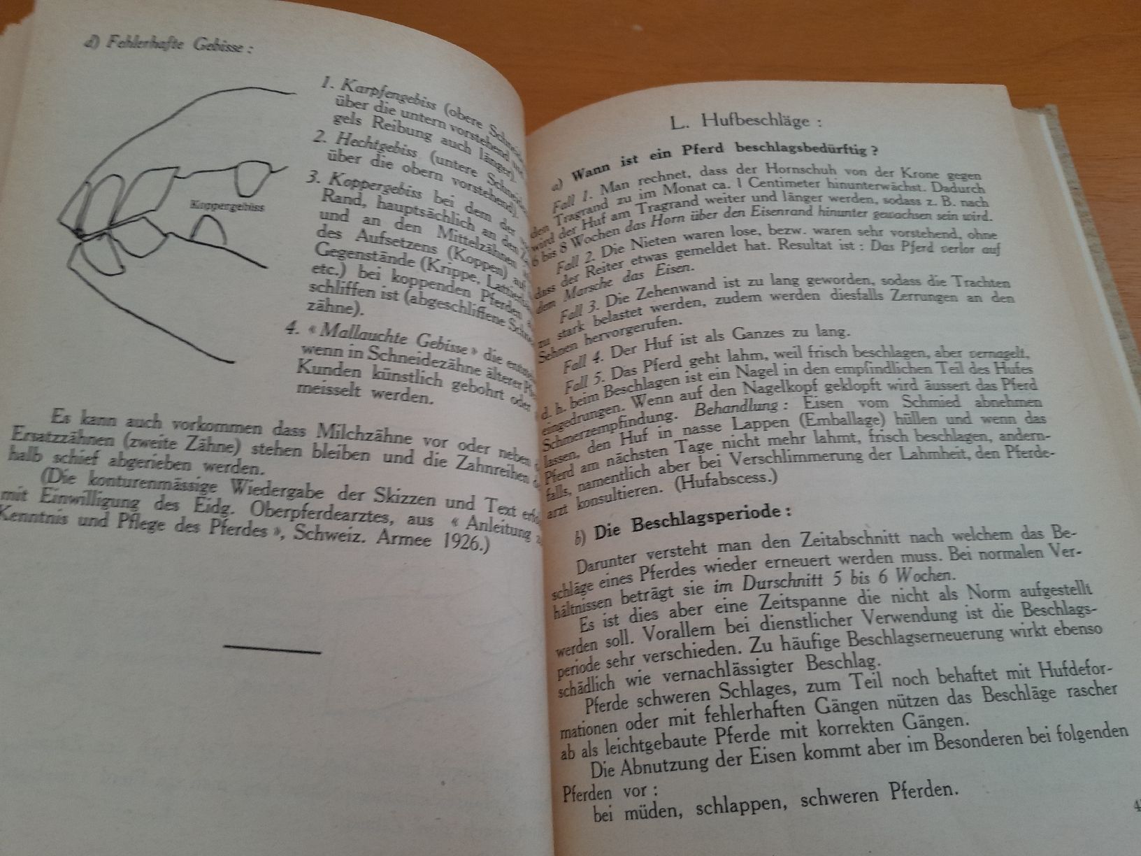 Libri: Buch Das Pferd in Wort und Bild 1933 – Usato da Oberglatt ZH venduto da juni02 4