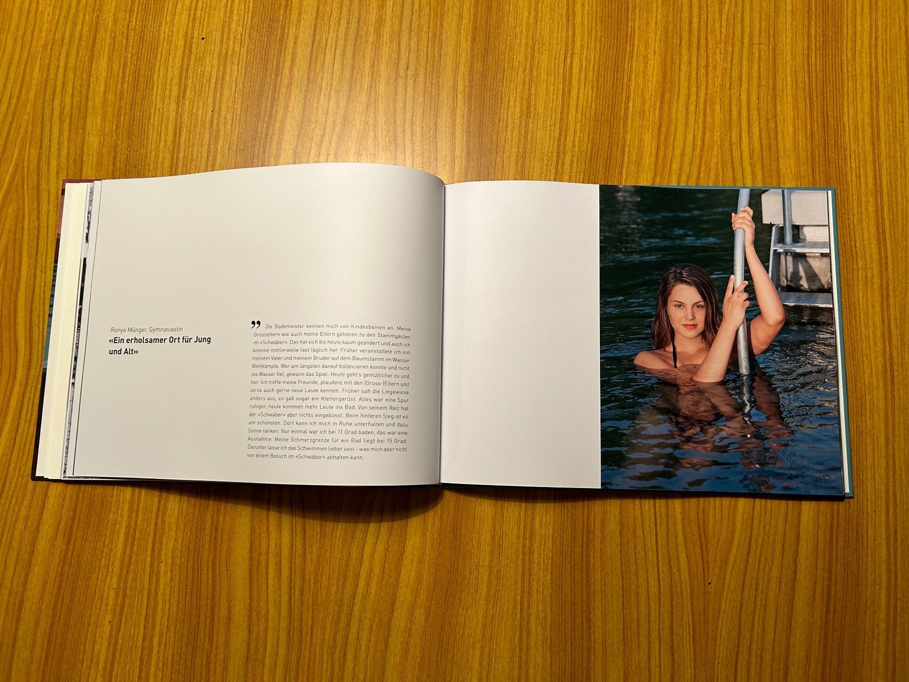 Libri: Buch Dokumentation Schwäbere Schwäbisbad Thun Geschenk – Nuovo (secondo la descrizione) da Steffisburg venduto da smocky17 3