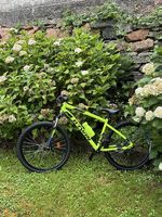 MTB  Rockrider 520   Taglia L    Appena revisionata