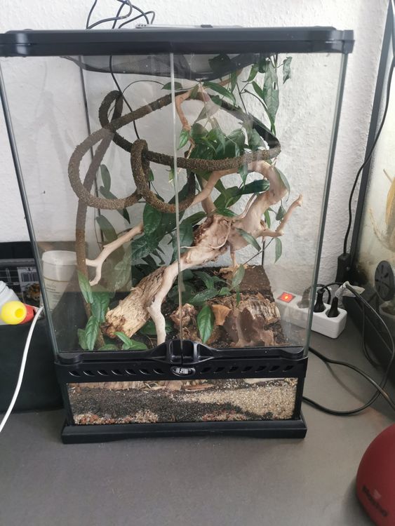 Exo Terrarium Kaufen auf Ricardo