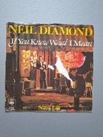 Neil Diamond - If You Know What I Mean