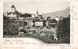 Spiez mit schloss