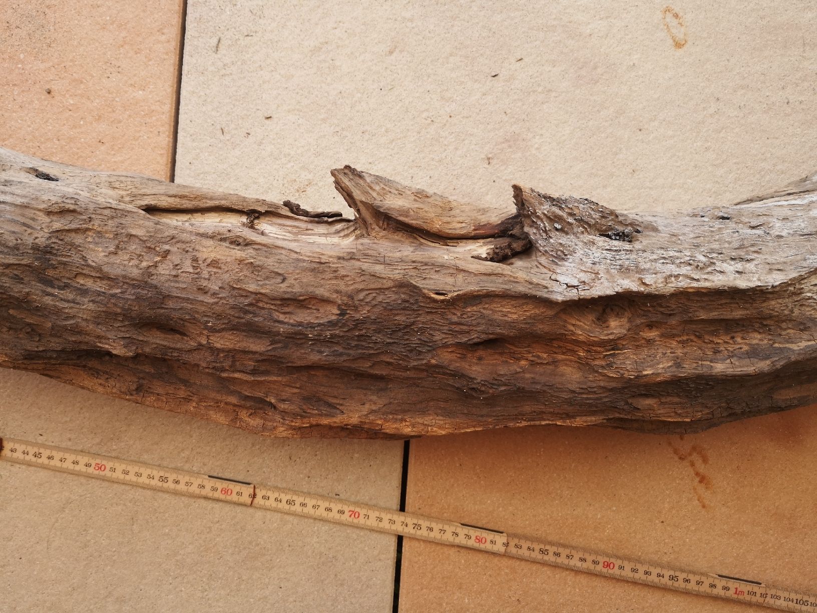 Articoli in legno: Schwemmholz sehr gross – Nuovo (secondo la descrizione) da Vordemwald venduto da Esel04 3