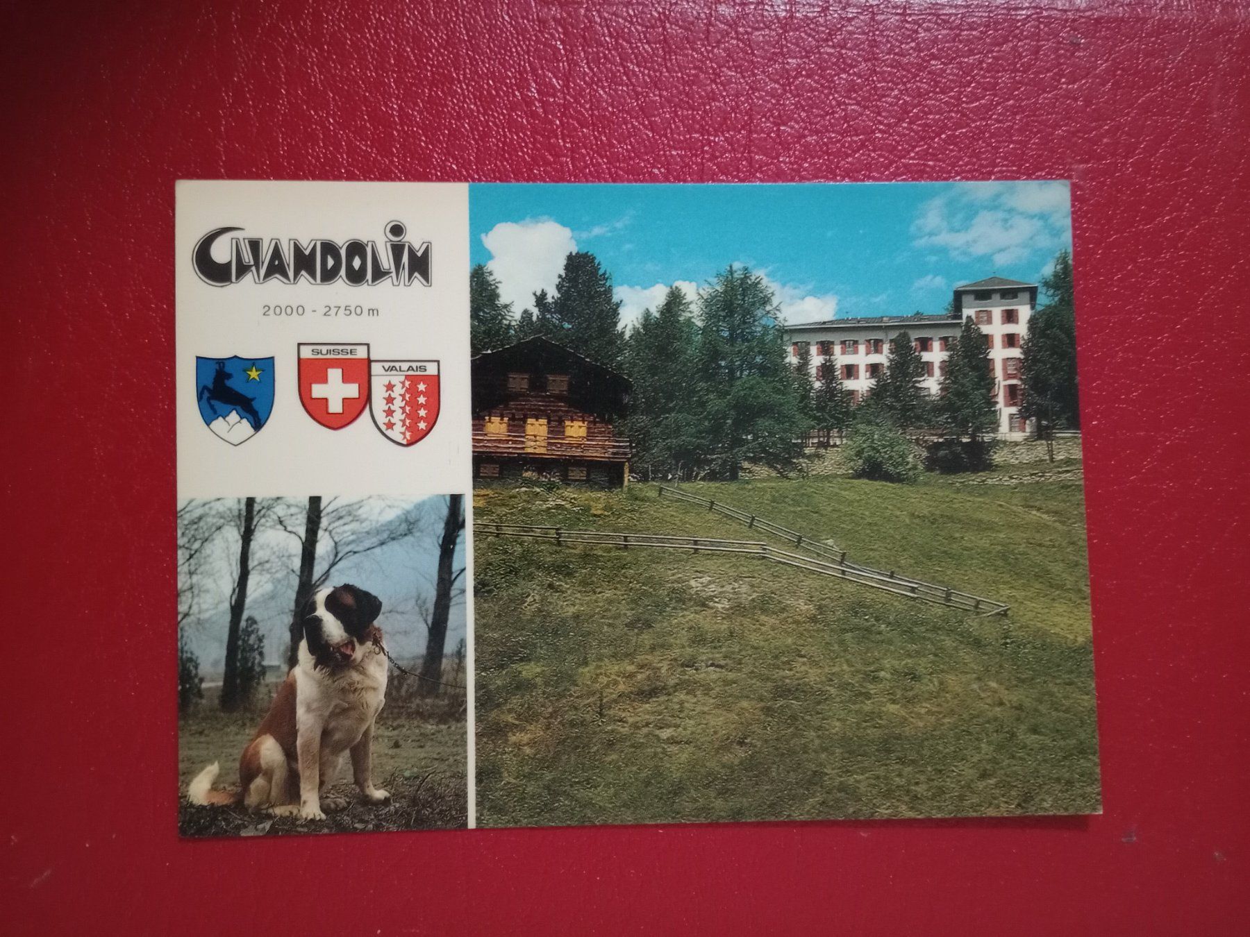 Ansichtskarten: Chandolin Wallis Wappen Bernhardiner Hund – Gebraucht aus Küttigen von Melisch1000