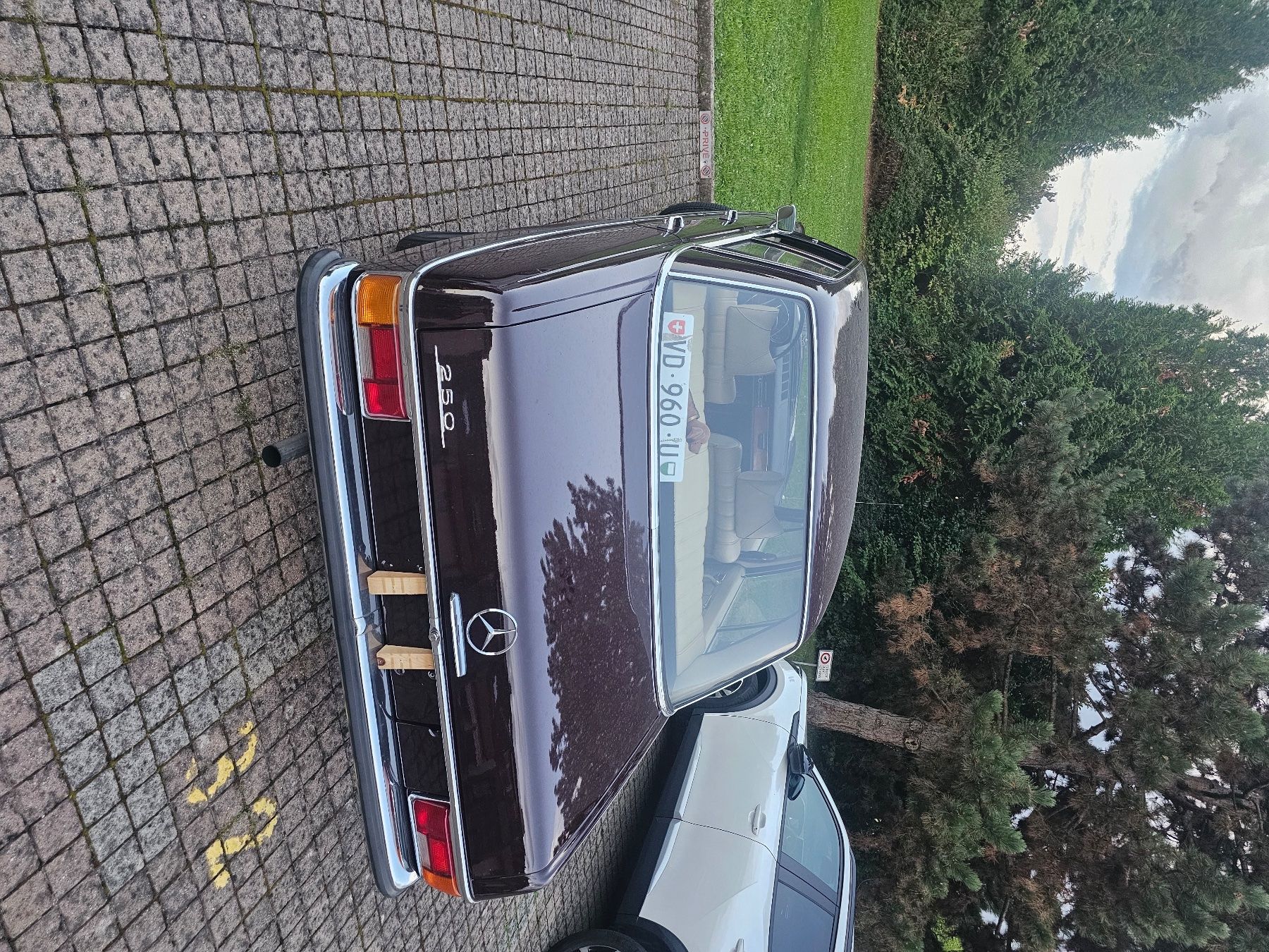 Mercedes-Benz Autos: mercedes  250 – Gebraucht aus Ecublens VD von sneki05 1