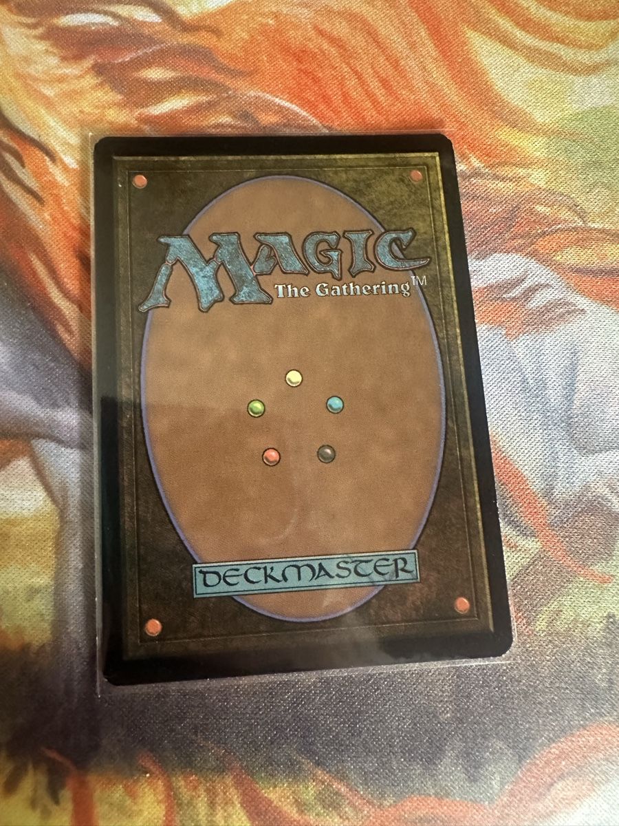 Magic The Gathering Carte collezionabili: Wasteland zend expedition ab 1.- – Nuovo (secondo la descrizione) da Ringgenberg BE venduto da gemkeeper 1