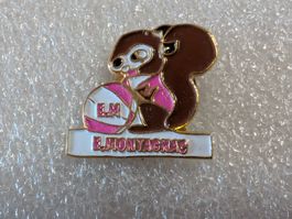 Ansteckpin 260: EM