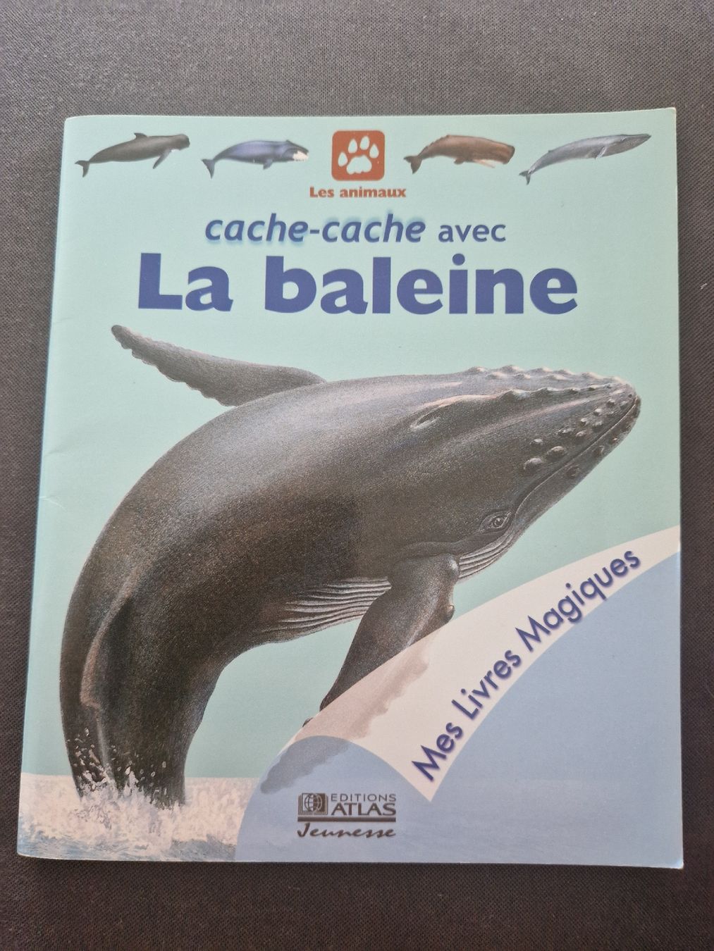 Libri: Cache-cache avec La baleine – Nuovo (secondo la descrizione) da Villars-sur-Glâne venduto da Agnie80