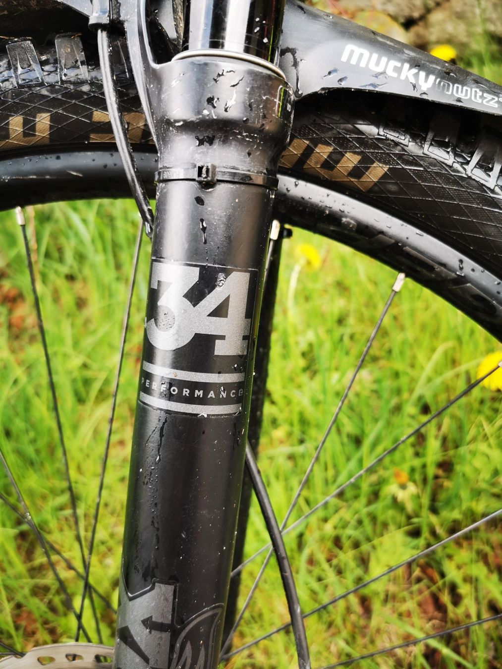 Trek Biciclette: Trek Fuel Ex 9.8 - fully 29er - M – Usato da Küsnacht ZH venduto da StuartJohnston 2