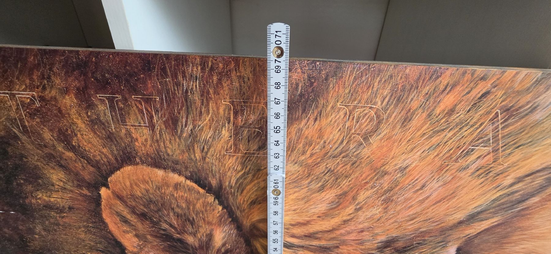 Tableaux: Löwen Bild – D'occasion à Dintikon par j.ebner 1