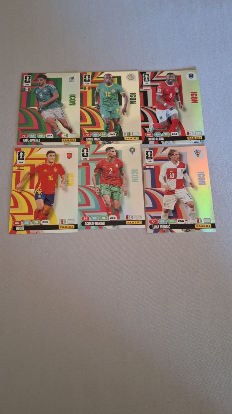 Panini Carte collezionabili: Panini Fussball WM Karten – Usato da Kleindietwil venduto da wegihelen 4