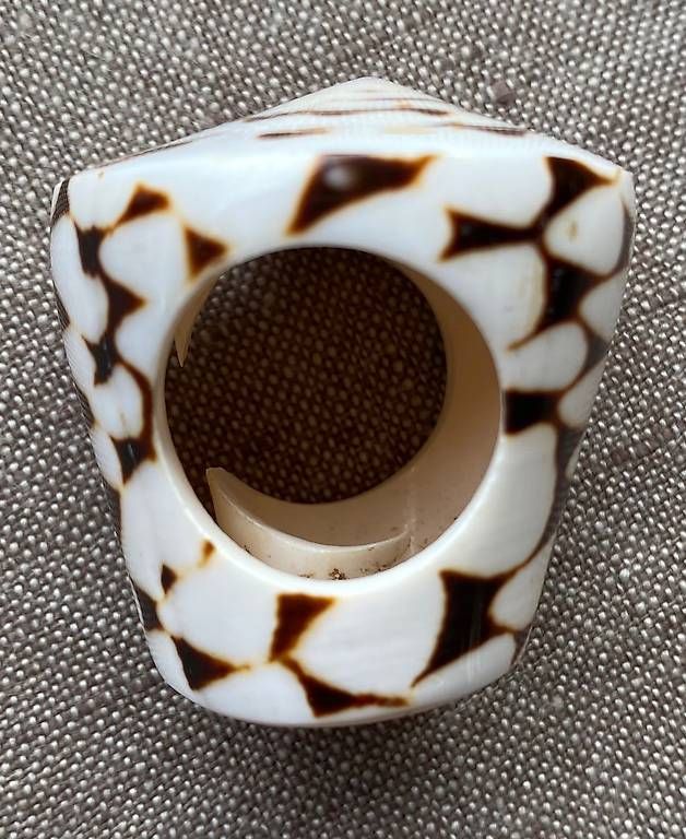 Bagues: Ring aus Muschel  – D'occasion à Dielsdorf par bar_7t27 1