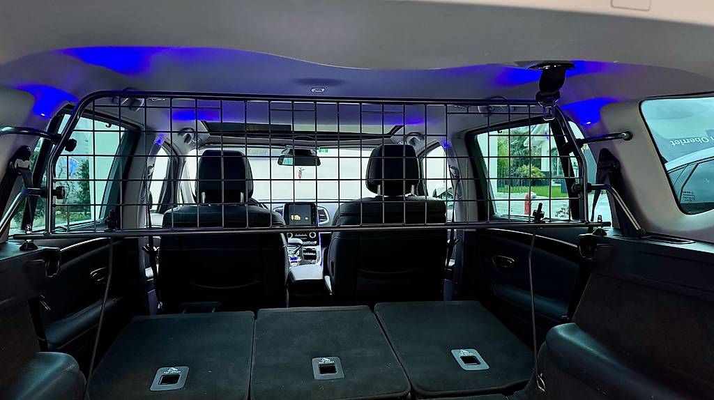 Gabbie, trasporto & Sicurezza: Trenngitter / Schutzgitter Renault Espace – Usato da Rorschach venduto da EnnosFlohmarkt
