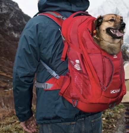 Kurgo G-Train Hunderucksack rot