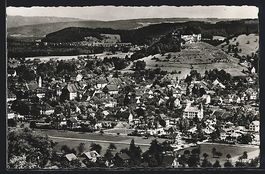Lenzburg, Gesamtansicht aus der Vogelsch