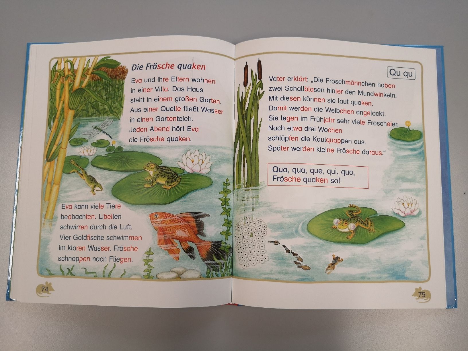 Libri: ABC der Tiere - Lesen in Silben – Usato da Sissach venduto da cor_n2dt 6