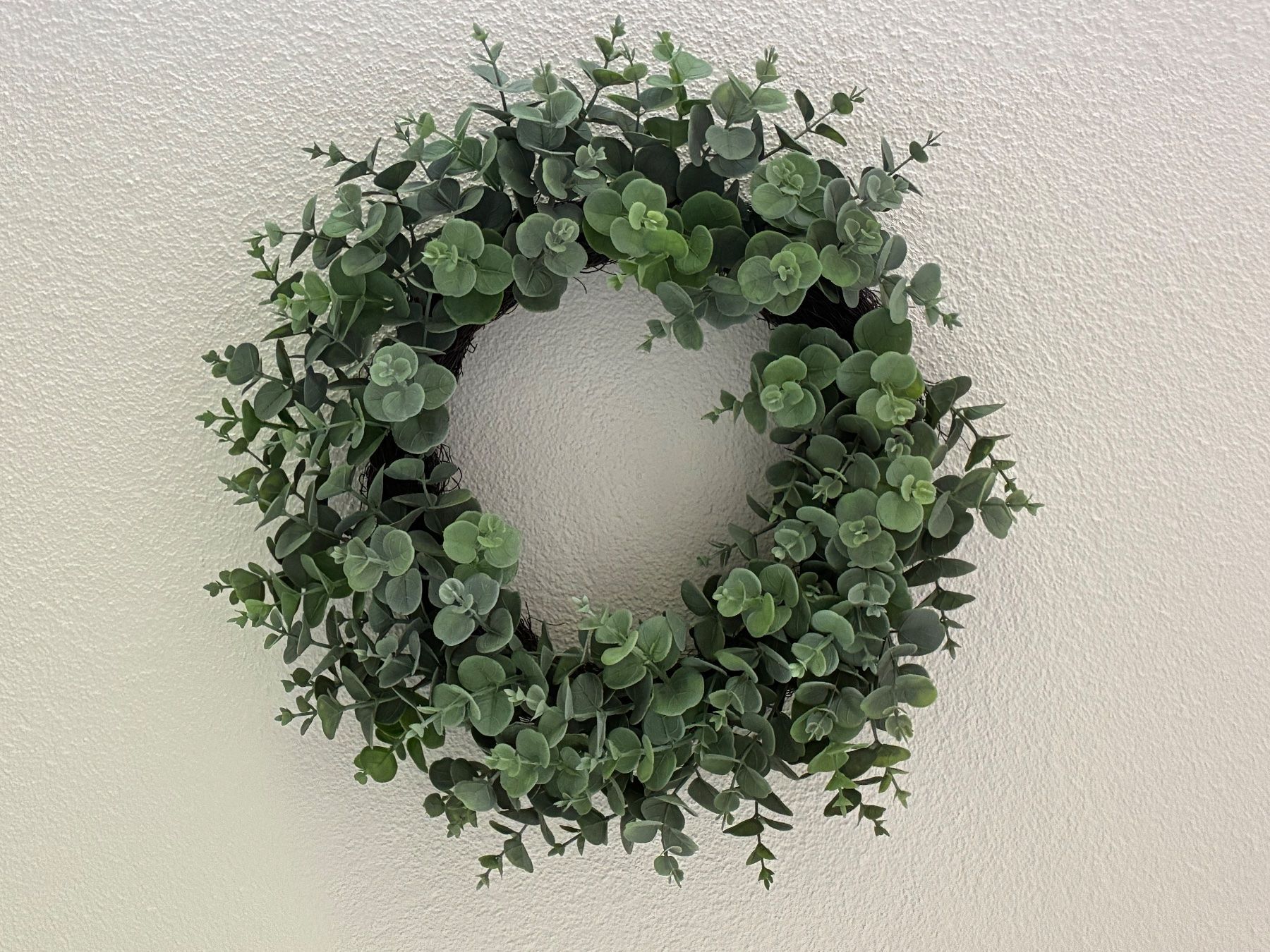 Tutte le decorazioni: Eucalyptus- Kranz künstlich 50cm – Usato da Frick venduto da sandra037 2