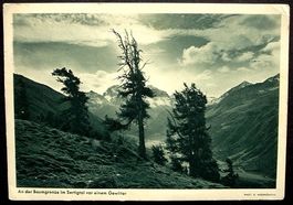 DAVOS An der Baumgrenze im Sertigtal vor einem Gewitter