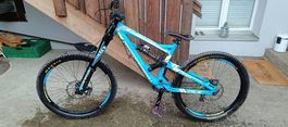 Bergamont Downhill Bike