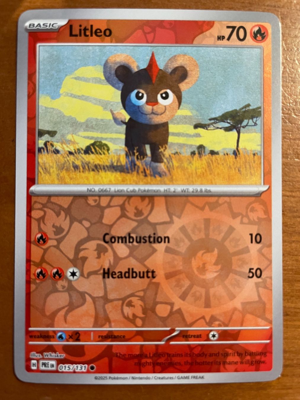 Pokémon Carte collezionabili: Pokemon Litleo Reverse (Versand gratis) – Nuovo (secondo la descrizione) da Chur venduto da Angerson