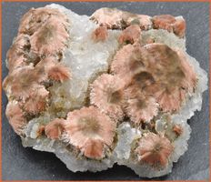 Oranger Thomsonit/Chalcedon (Quarz, seltener Fund aus Indien