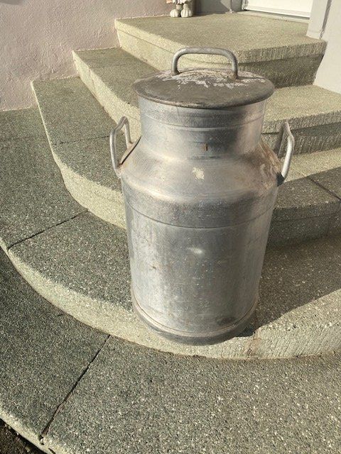 Contenitori & Simili: Milch Kanne Tanse mit Deckel – Usato da Bürglen TG venduto da Nobi99