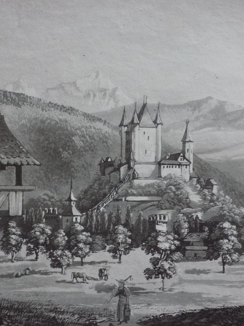Incisioni: Thun Schloss – Usato da Risch venduto da Rischli15 4
