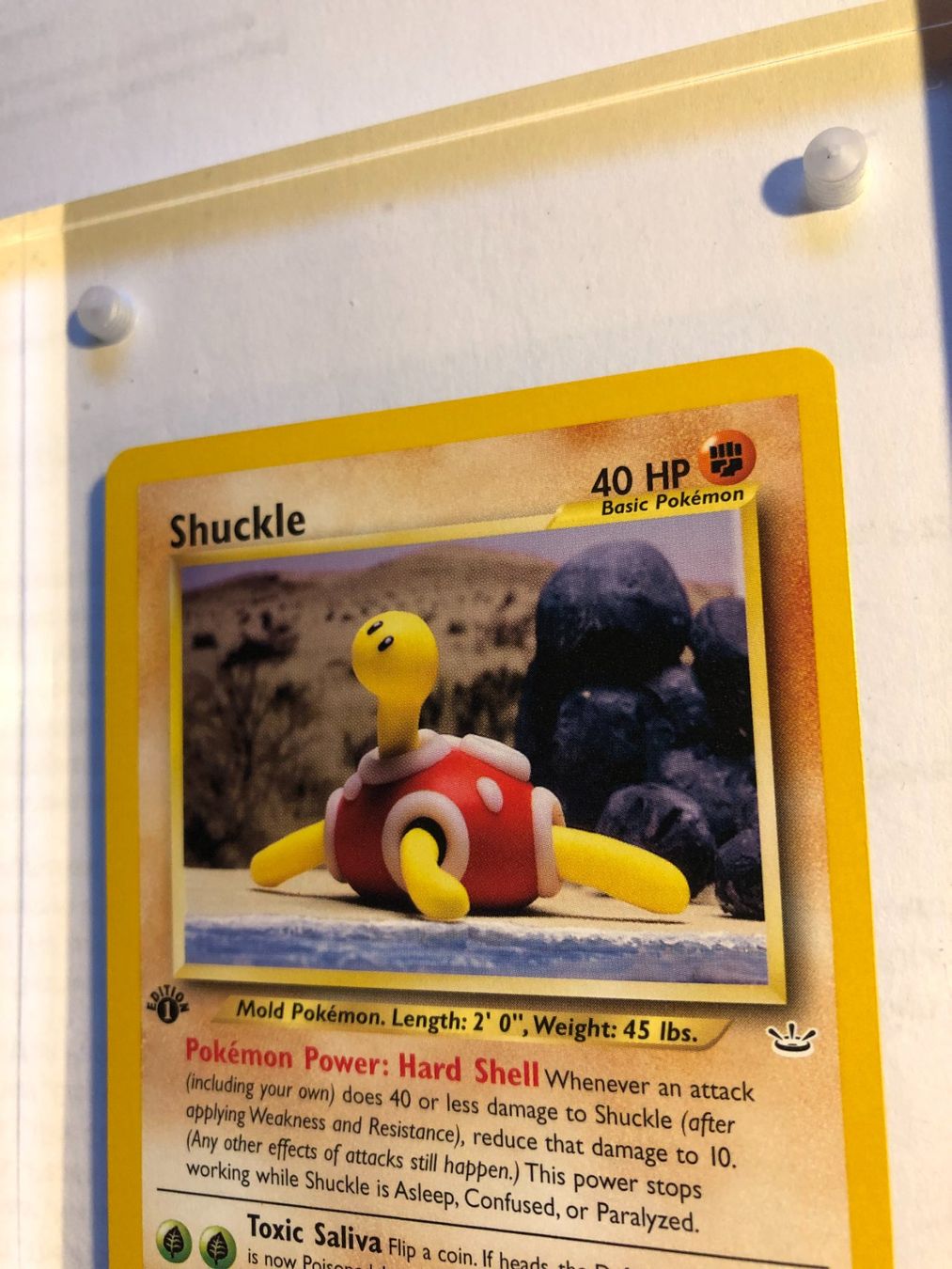 Cartes à collectionner: Shuckle 1st Neo Revelation - MINT - ab 1.- – D'occasion à Giubiasco par dan_pr8b 3
