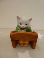 Kitty cucumber Alberts Agony