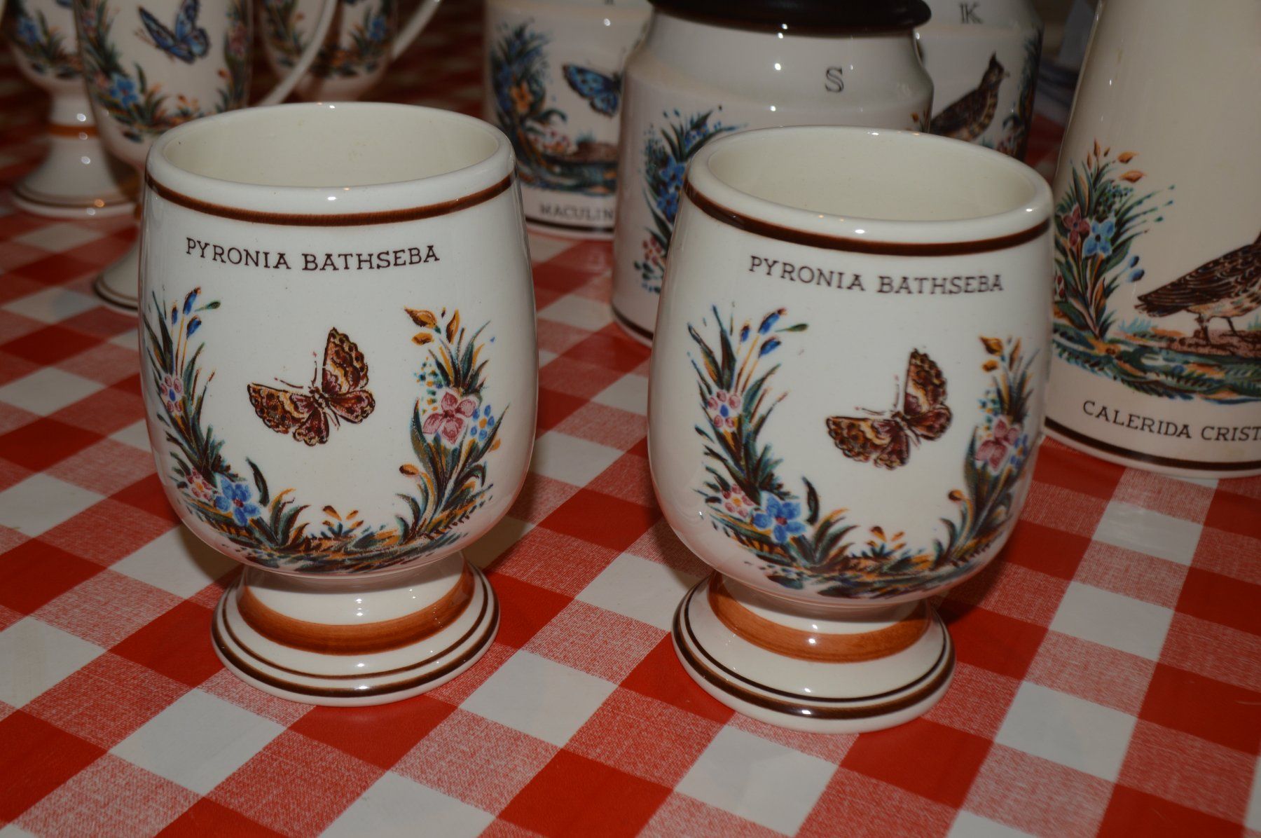 Set di piatti: servizio da caffè e/o te – Nuovo (secondo la descrizione) da Brione s. Minusio venduto da clk_8kjj 2