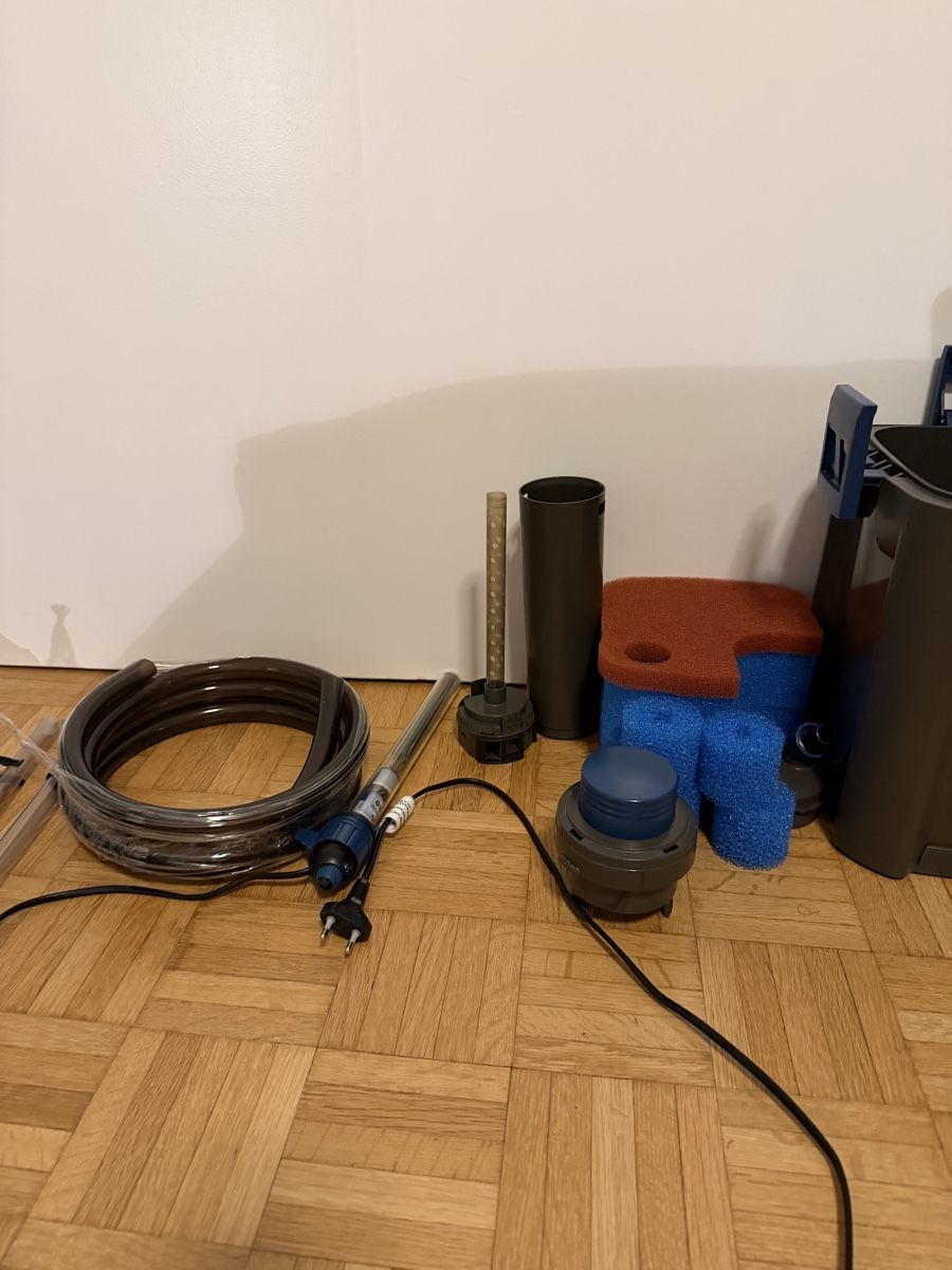 Oase Filtri: Oase Biomaster 250 Thermo – Usato da Zürich venduto da cal_9sx7 3