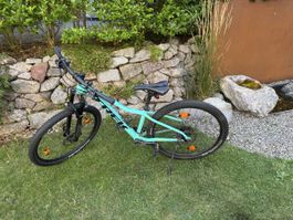 Trek Marlin MTB, Miami Green