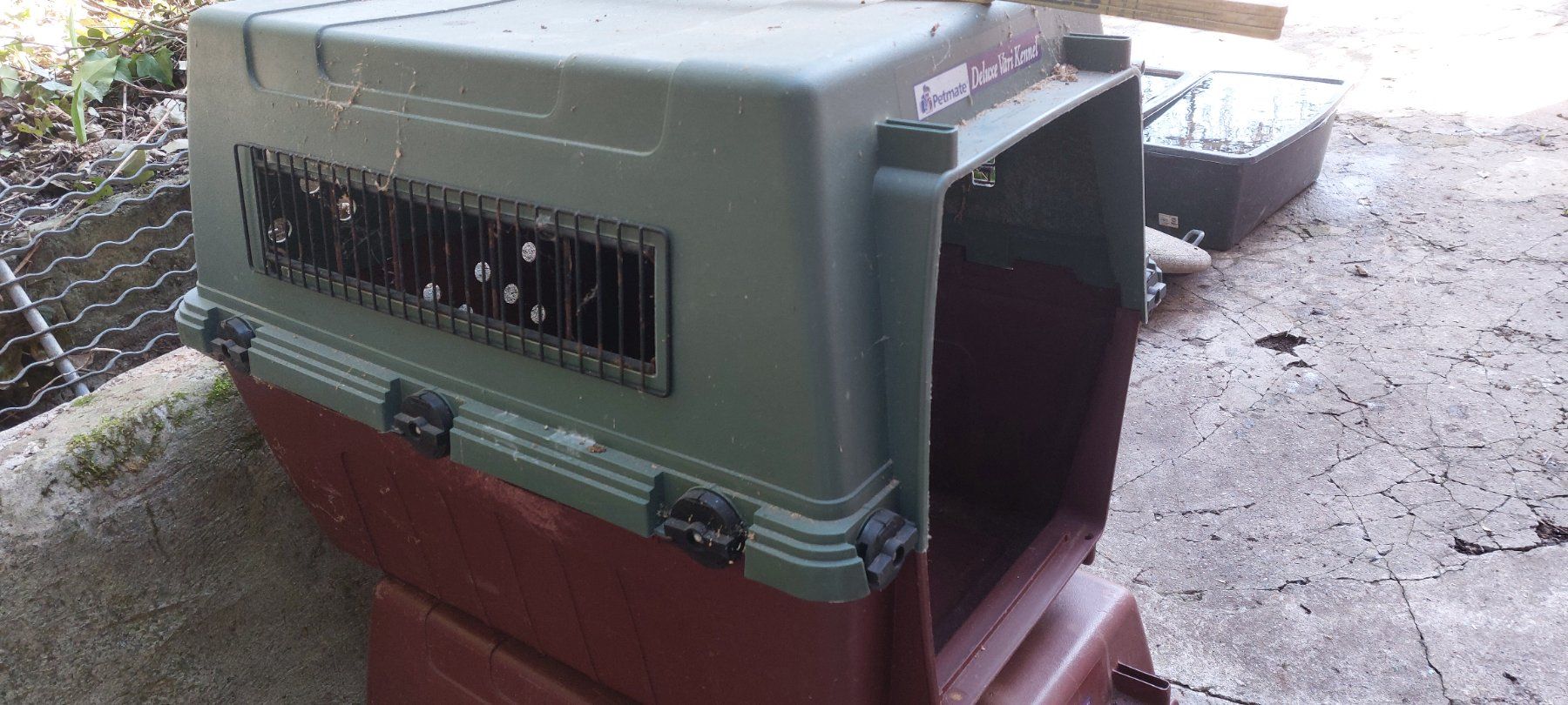 Käfige, Transport & Sicherheit: Hunde-Transportbox/Reisebox – Gebraucht aus Brislach von ericCH 1